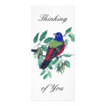 Painted Bunting Thinking of You Custom Rack Cards
