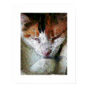 Painted Calico posters