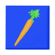 Painted Carrot magnets by boldhumor Painted Carrot magnets
