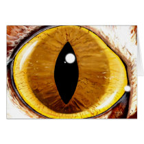 Painted Cat's Eye Greeting Cards