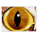 Painted Cat's Eye cards by TheGalacticGroundhog Painted Cat's Eye cards