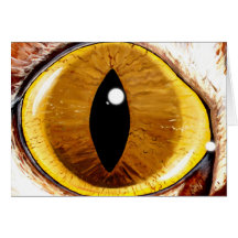 Painted Cat's Eye Greeting Cards