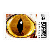 Painted Cat's Eye Stamps