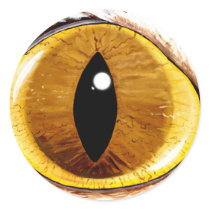 Painted Cat's Eye Round Stickers