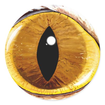 Painted Cat's Eye Round Stickers by TheGalacticGroundhog