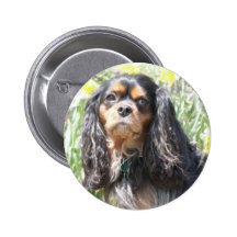 Painted Cavalier King Charles Spaniel Pinback Buttons