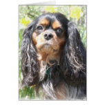 Painted Cavalier King Charles Spaniel Card
