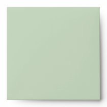 Painted Circles pale leaf stripes Square Envelope envelopes