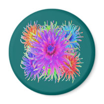 Painted Dahlias Magnets