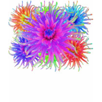 Painted Dahlias Women's Shirts