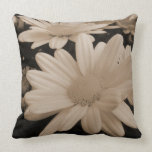 Painted Daisies pillows
