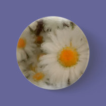 Painted Daisy buttons