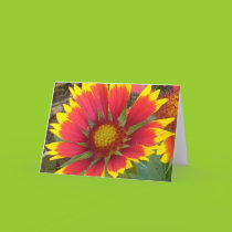 Painted Daisy Card cards