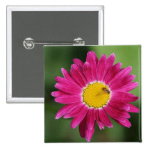 Painted Daisy Cards and more Buttons