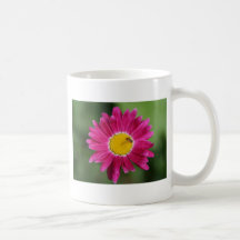 Painted Daisy Cards and more Coffee Mug