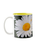 Painted Daisy Coffee Mug
