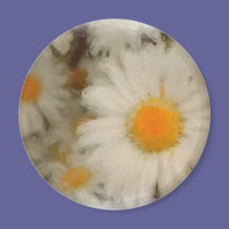 Painted Daisy magnets
