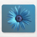 Painted Daisy mousepads