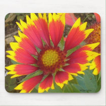 Painted Daisy Mousepad mousepads