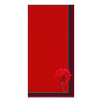 Painted Daisy photo cards by dotandme Painted Daisy photo cards