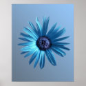 Painted Daisy posters