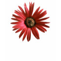 Painted Daisy t-shirts