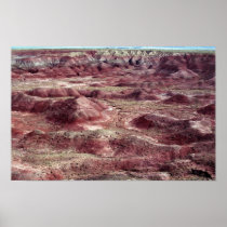 Painted Desert Poster