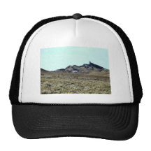Painted Desert scene 03 Trucker Hat