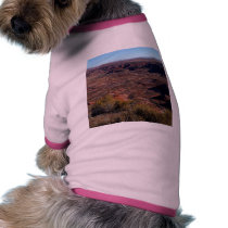 Painted Deserts pet clothing