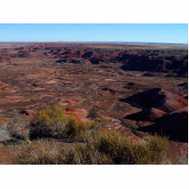 Painted Deserts photo sculptures by lifesphere Painted Deserts photo sculptures