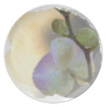 Painted Exotic Orchid Plate