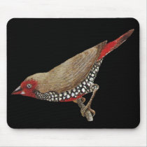 Painted Finch - Emblema pictum mousepads by LisasLair Painted Finch - Emblema pictum mousepads