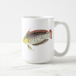 Painted Fish - Ceramic Mug