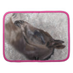 Painted Foal Rickshaw Folio planners