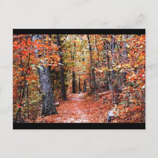 Painted Forest Autumn Trail Watercolor Gifts zazzle_postcard