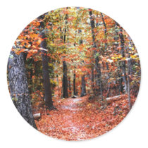 Painted Forest Autumn Trail Watercolor Gifts Round Sticker