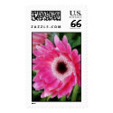 Painted Gerber_237 Postage postage by glo53bug Painted Gerber_237 Postage postage