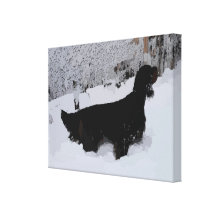 Painted Gordon Setter in Snowstorm Wrapped Canvas Stretched Canvas Prints