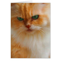 Painted green eyed cat cards
