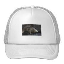 Painted Grotto Mesh Hat