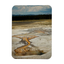 Painted Grounds Premium Magnet