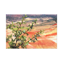 Painted Hills3 Gallery Wrapped Canvas