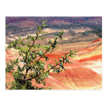 Painted Hills 3 Post Card