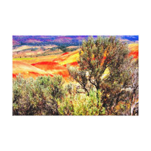 Painted Hills Stretched Canvas Prints