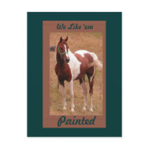 Painted Horse PostCard #1