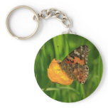 Painted Lady Butterfly keychains