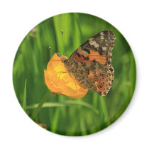 Painted Lady Butterfly Refrigerator Magnets