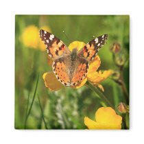 Painted Lady Butterfly Magnet