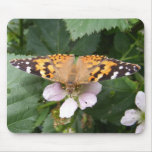 Painted Lady butterfly ~ mousepad