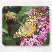 Painted Lady Butterfly Mousepad